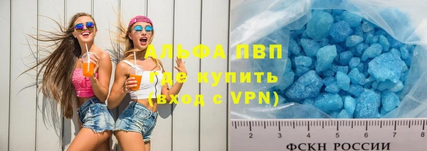 гашик Аркадак