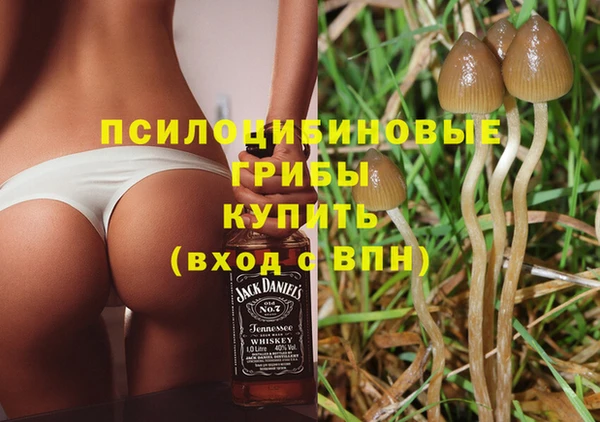 экстази Арсеньев