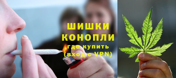 гашик Аркадак