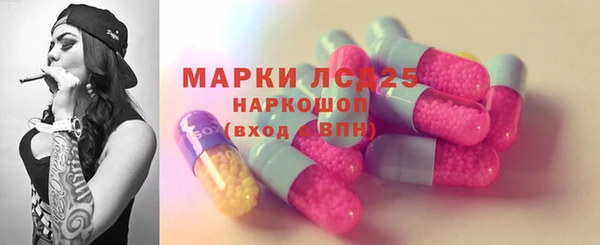 гашик Аркадак
