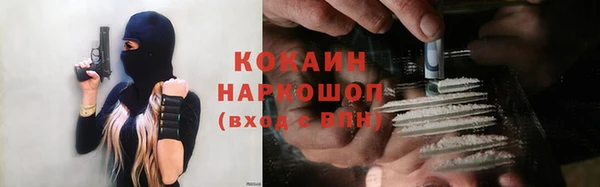 гашик Аркадак