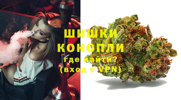 PSILOCYBIN Армянск