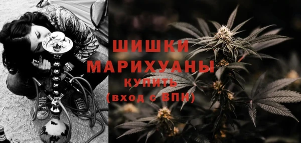 твердый Осинники