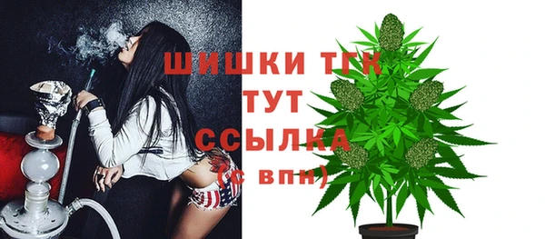 PSILOCYBIN Армянск