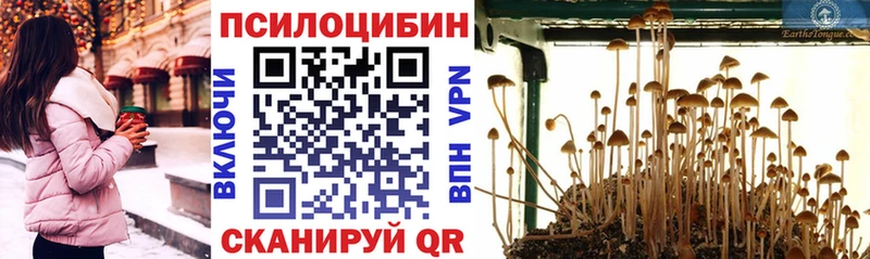 нарко площадка наркотические препараты  Бутурлиновка  Галлюциногенные грибы прущие грибы 